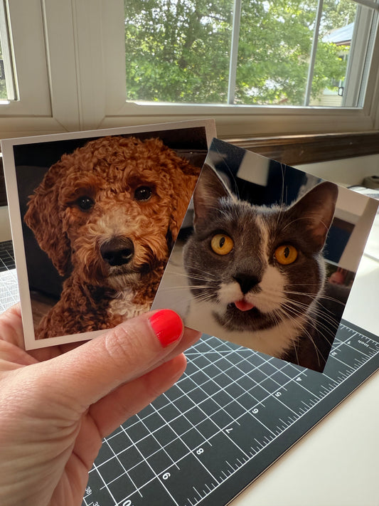 Vinyl Photo Magnets