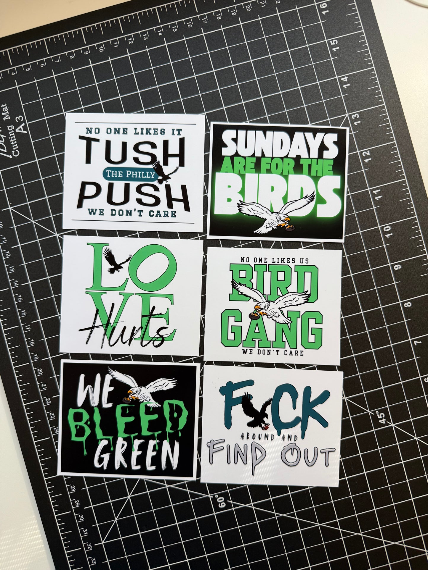 Pack of 6 - Eagles Football Magnets - Option A